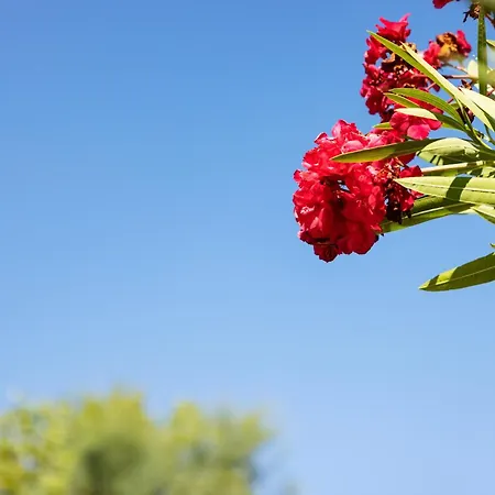 Rifugio San Bartolo - Gabicce Vallugola * Castel di Mezzo