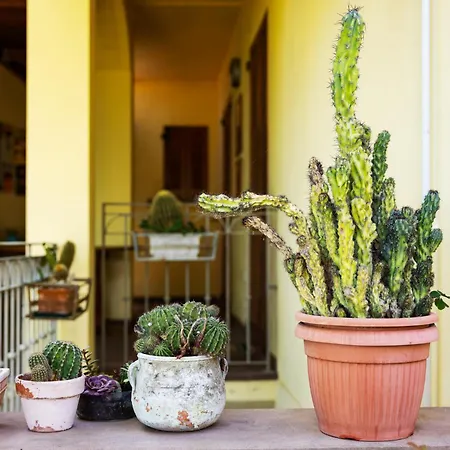 Rifugio San Bartolo - Gabicce Vallugola Apartmán *