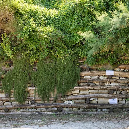 Apartmán Rifugio San Bartolo - Gabicce Vallugola