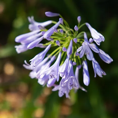 Apartmán Rifugio San Bartolo - Gabicce Vallugola *