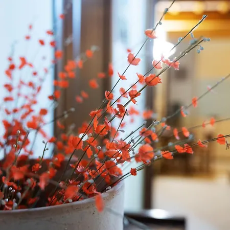 Rifugio San Bartolo - Gabicce Vallugola * Castel di Mezzo